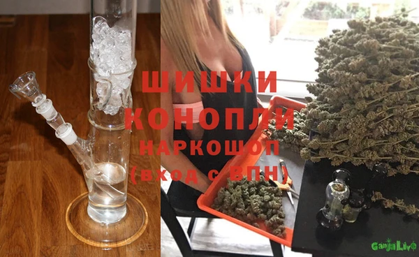 ГАЛЛЮЦИНОГЕННЫЕ ГРИБЫ Медвежьегорск