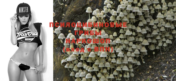 винт Михайловка