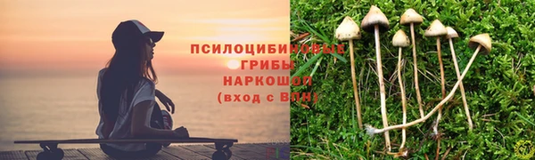 jwh Михайлов