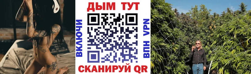 Купить закладки  Лыткарино  Бошки марихуана AK-47 
